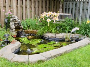 Adding Ponds to Your Garden