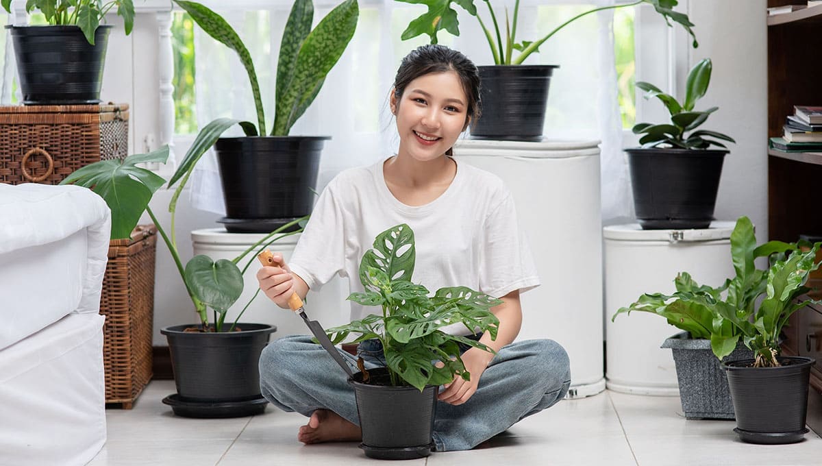 Select the Right Plants for Your Garden