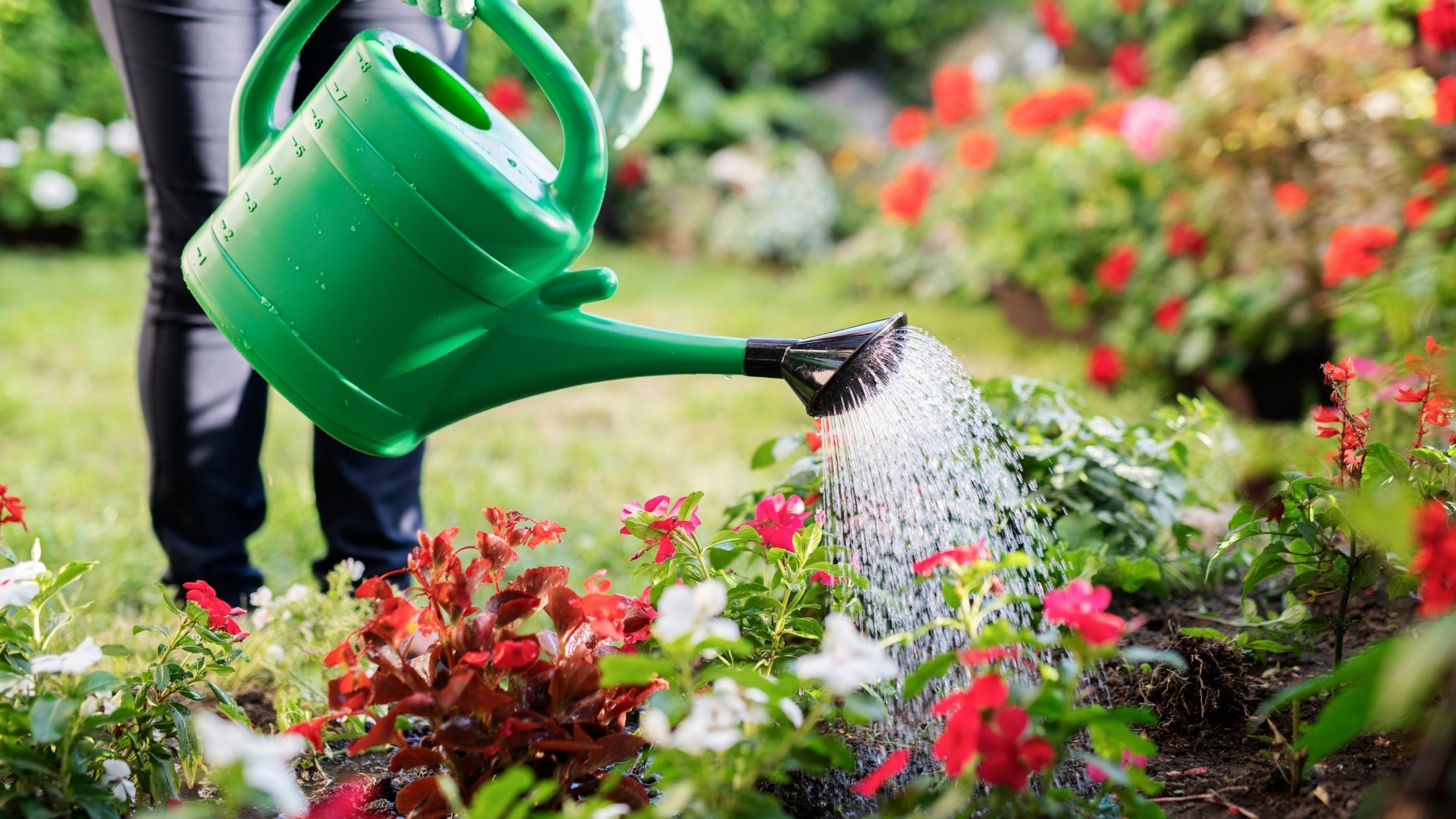 watering garden